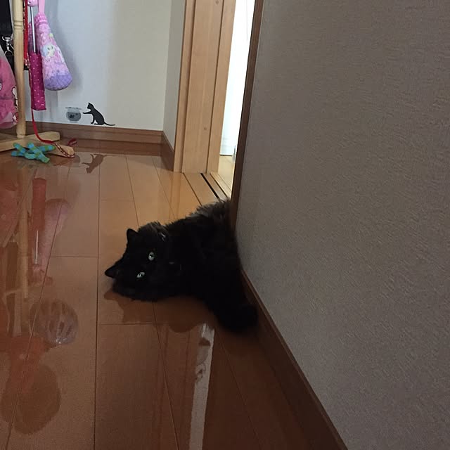 kokoさんの実例写真