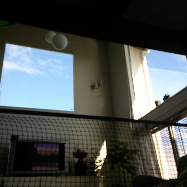 COLeCoさんの実例写真