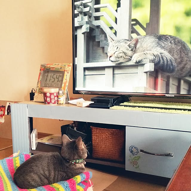 oyumiさんの実例写真