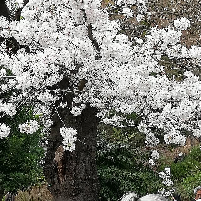 Daisukeさんの実例写真