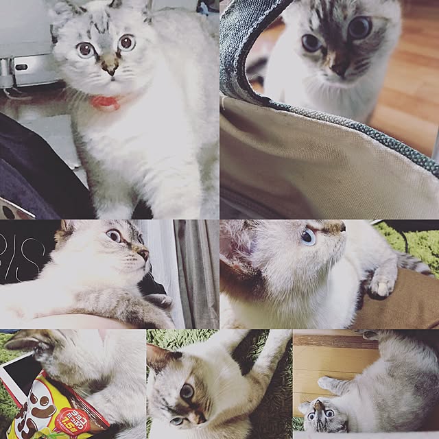 nachuさんの実例写真
