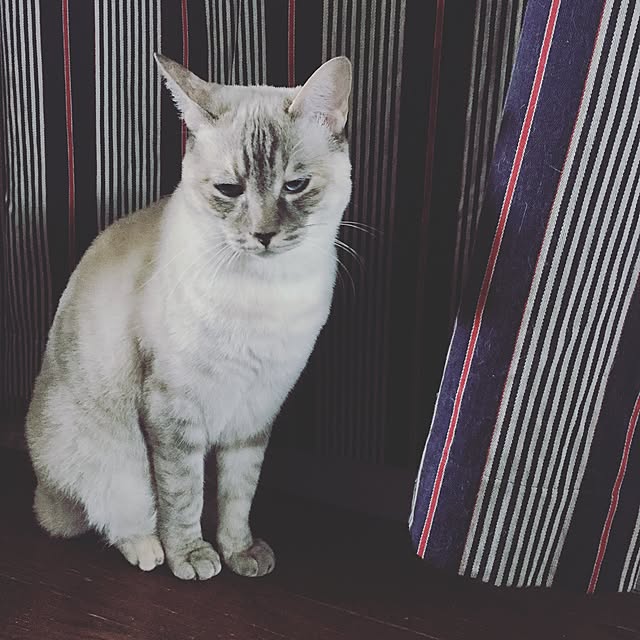 Naoki.さんの実例写真