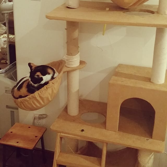 chamiさんの実例写真