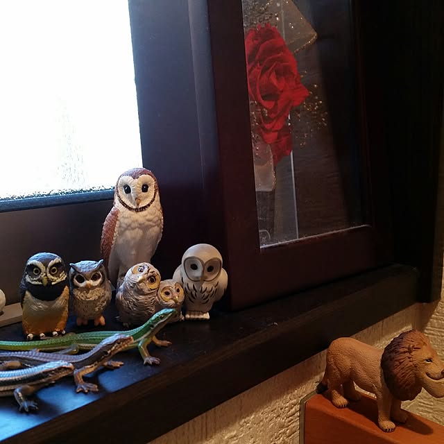 mofumenmaさんの実例写真