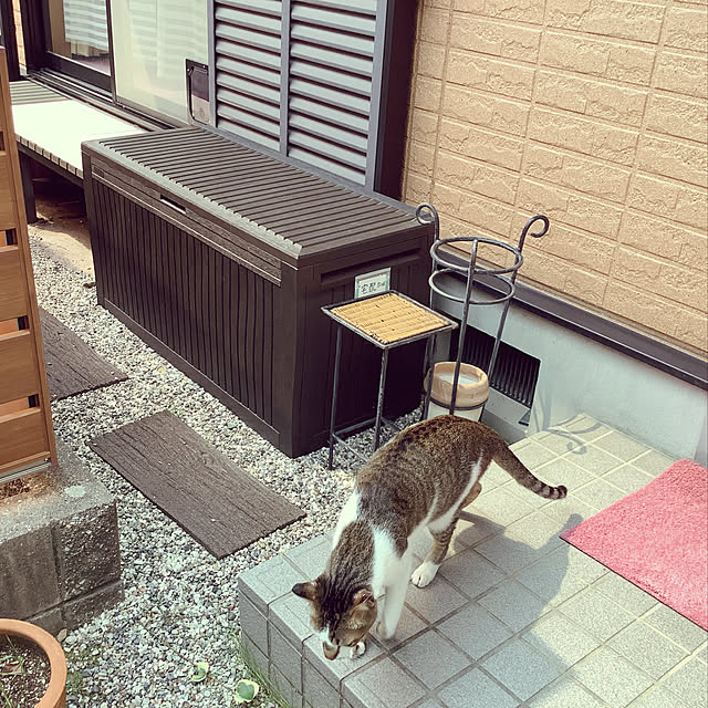 haruminさんの実例写真