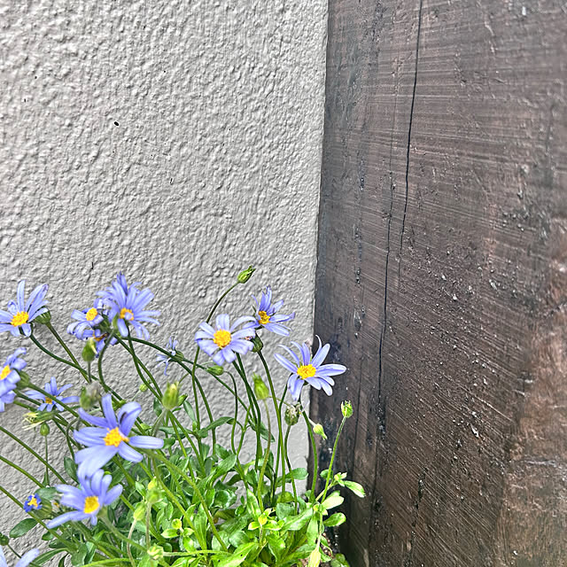 kさんの部屋