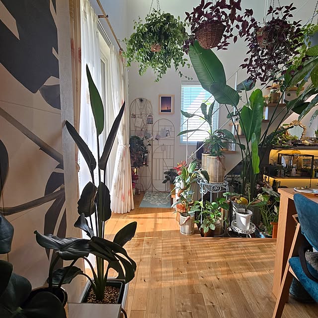 nonbiri_house_さんの部屋