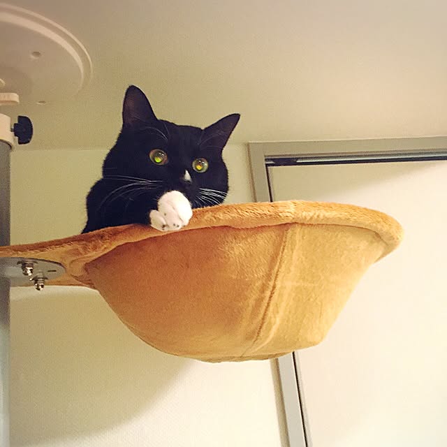 Nawさんの実例写真