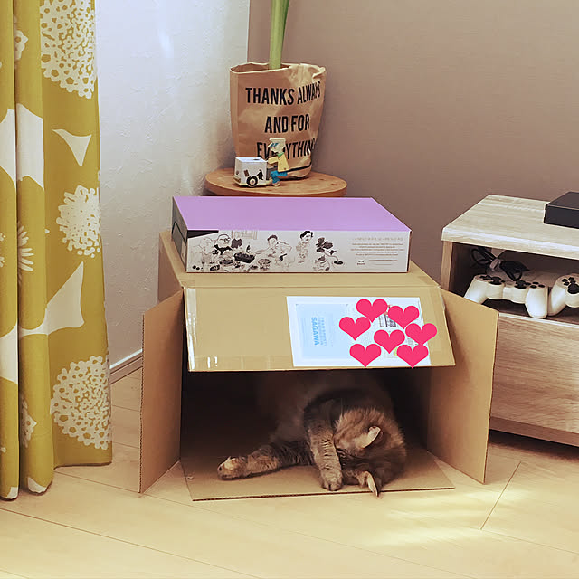 tokoさんの実例写真
