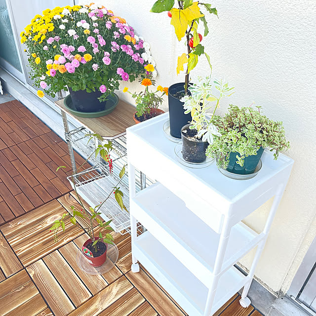 Angeliqueさんの実例写真