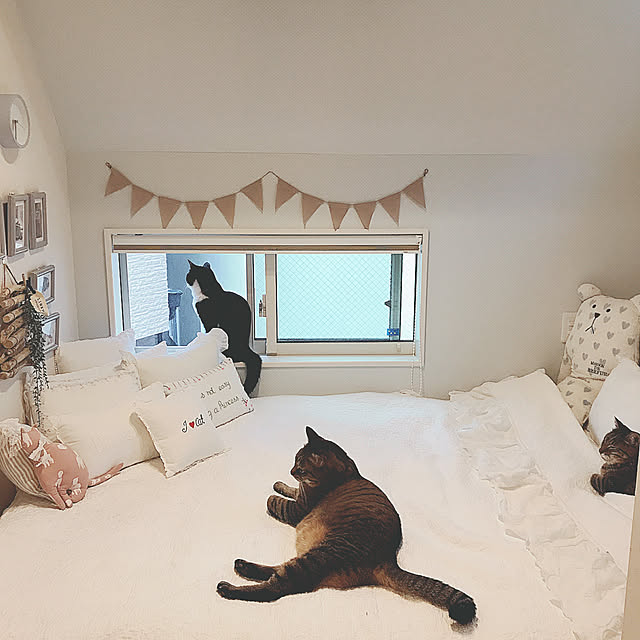 lovecatさんの実例写真