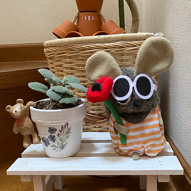 chIoeさんの実例写真