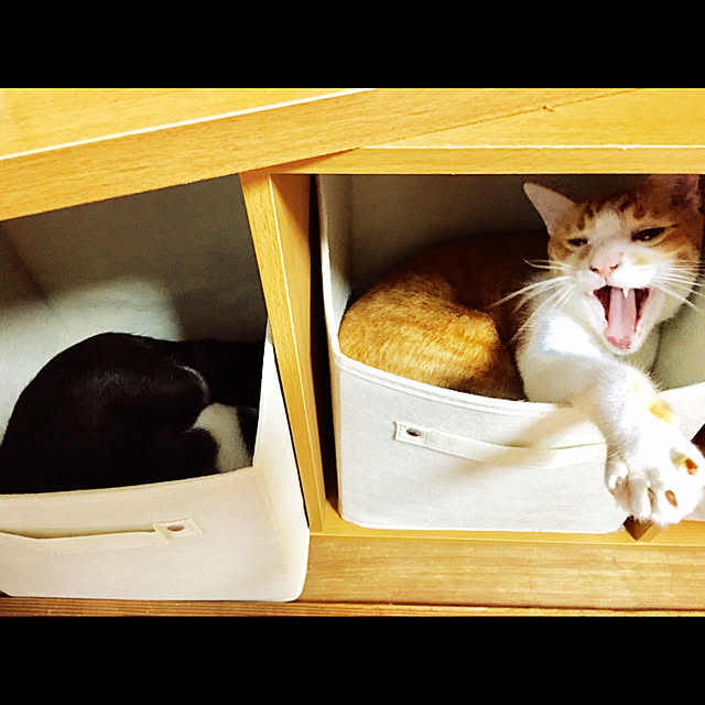 brbrnknkさんの実例写真