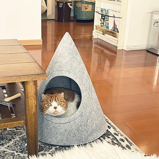 tomatoさんの部屋