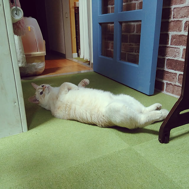 mntcさんの実例写真
