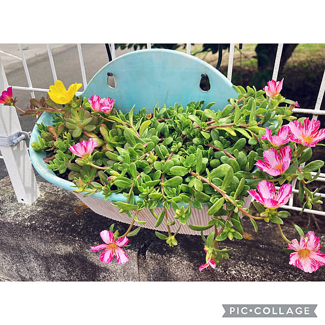 CoCo0617さんの部屋
