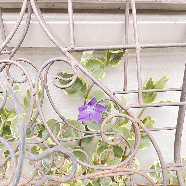 akiko-ovさんの実例写真