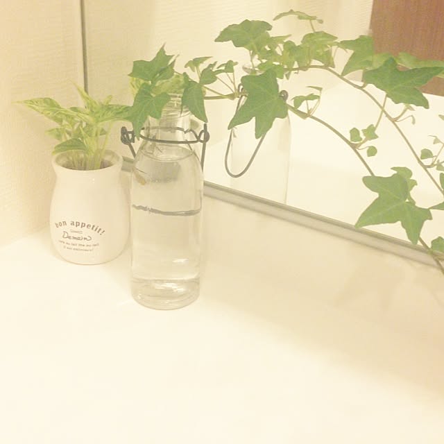 mocoさんの実例写真