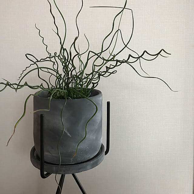 rinrinさんの実例写真