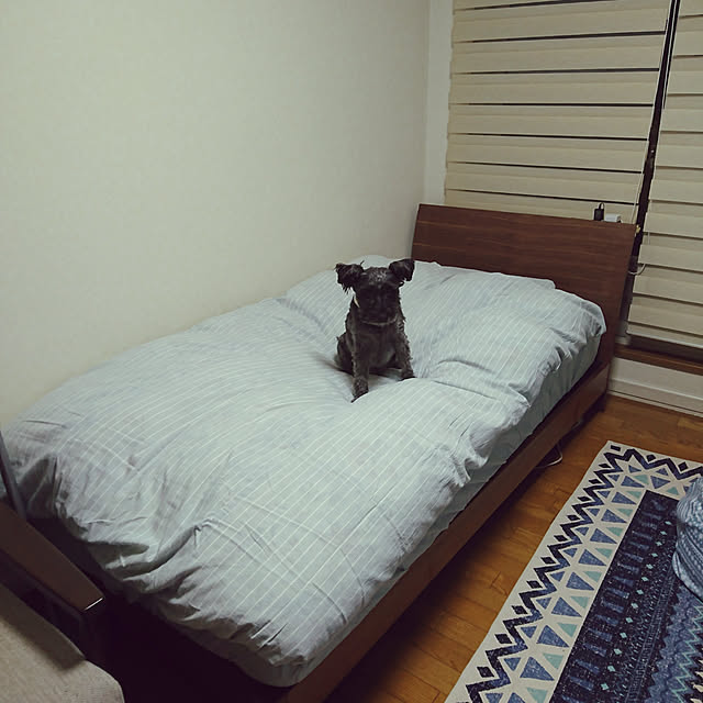 atoriさんの実例写真