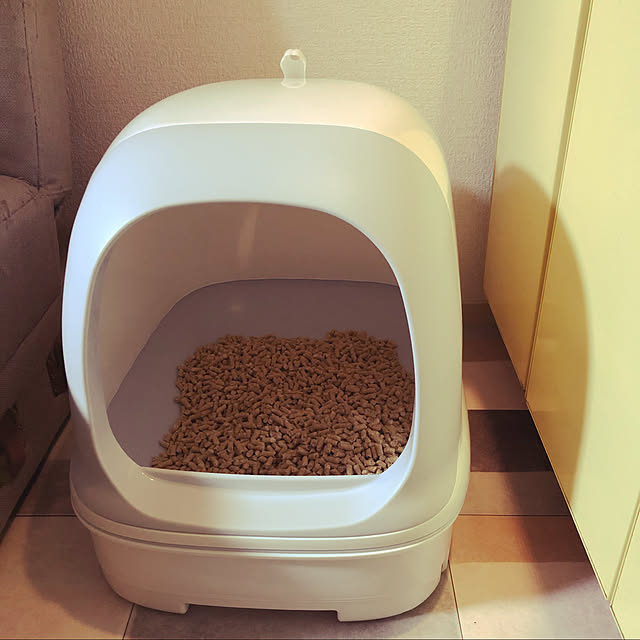 Aggieさんの実例写真
