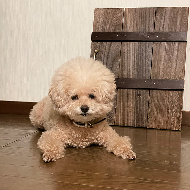 hima820さんの実例写真