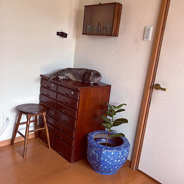mikan161さんの実例写真