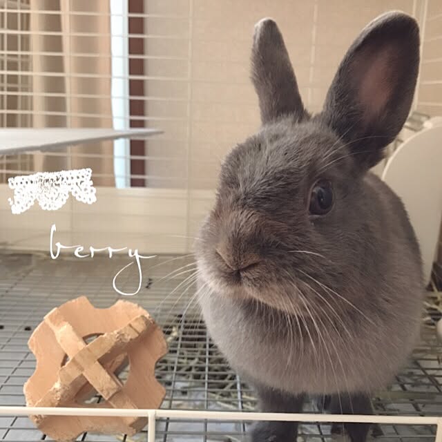 u.no.さんの実例写真