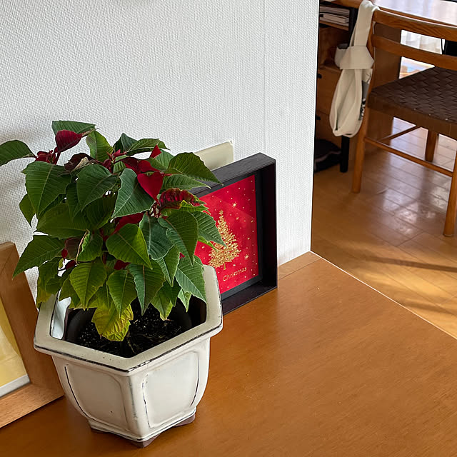 nobikoさんの実例写真
