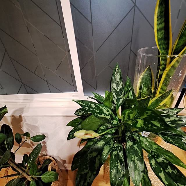 mihiroさんの部屋