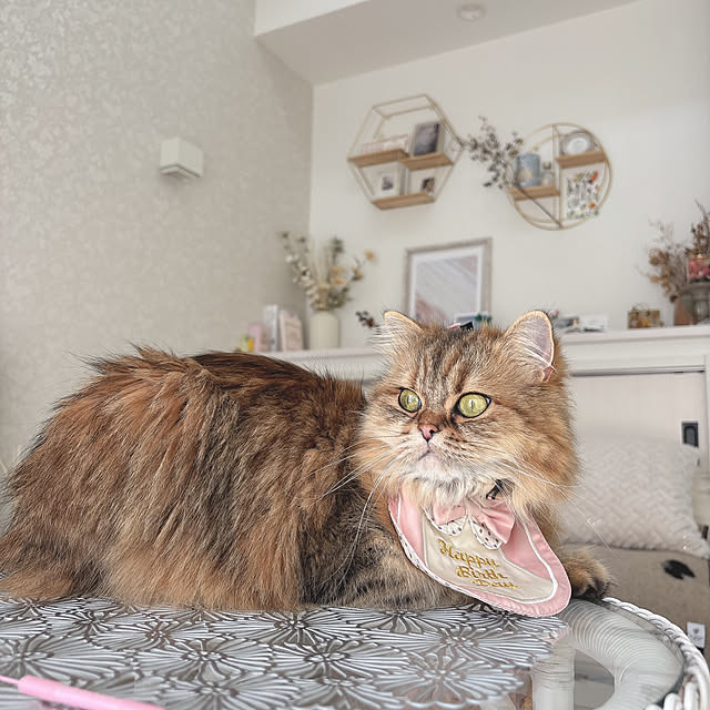 miyu39さんの部屋