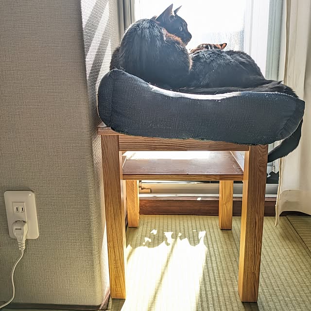 hihaさんの部屋