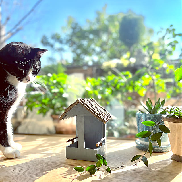 pooさんの実例写真