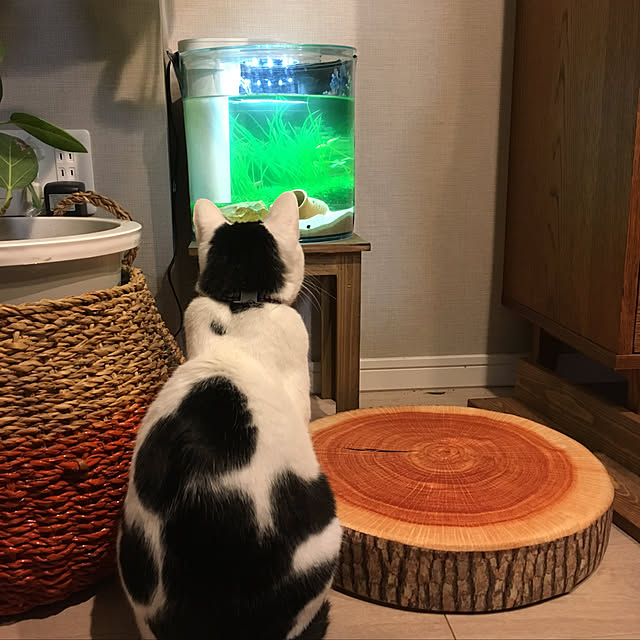 hanaさんの実例写真