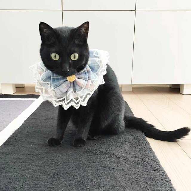 sakuraさんの部屋