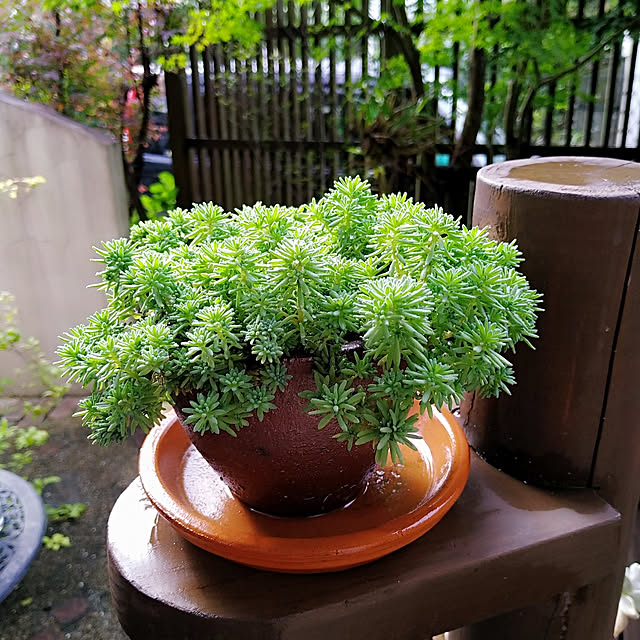 shukoさんの実例写真