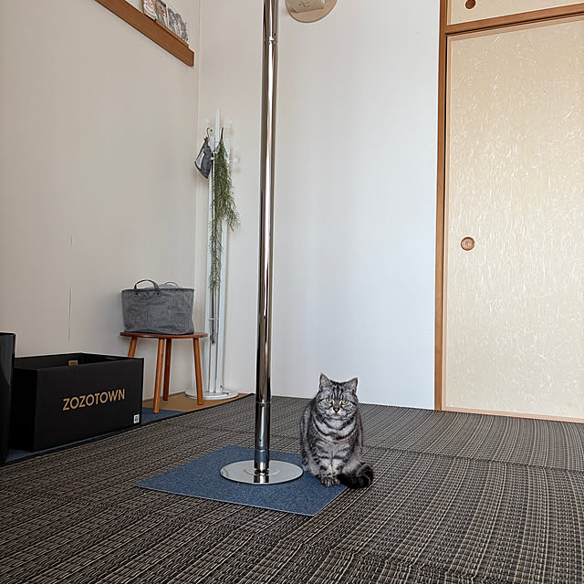 hiyupan88さんの実例写真