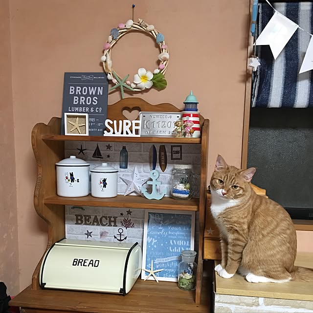 CATさんの実例写真