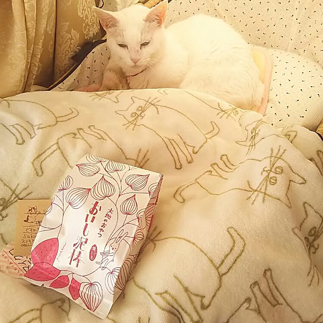 sakuraさんの実例写真
