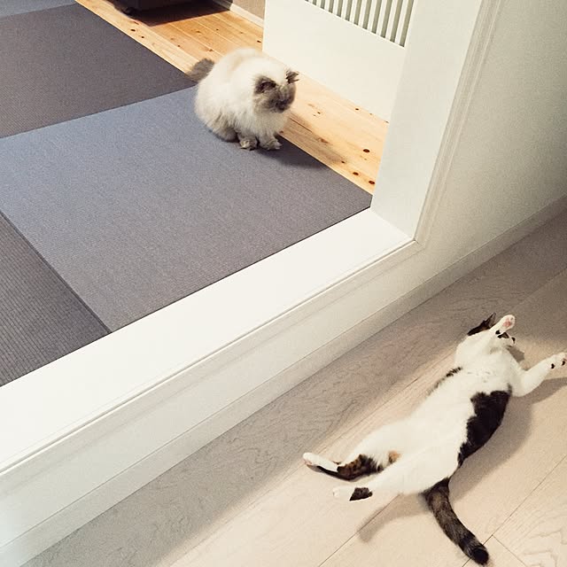 yuchiさんの実例写真