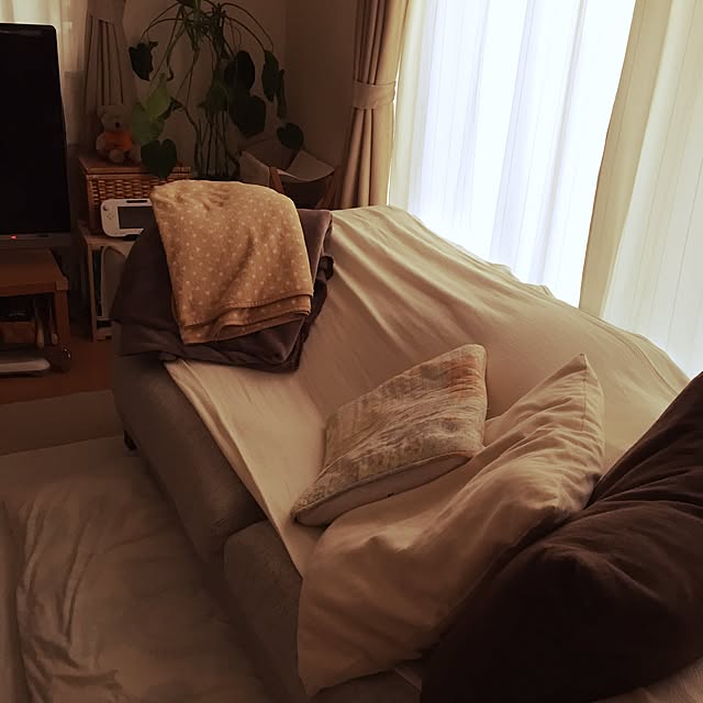 Satsukiさんの実例写真