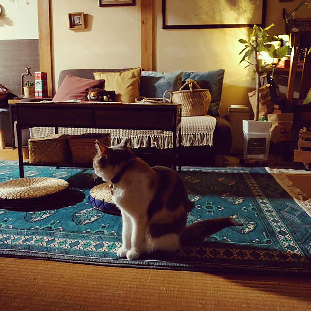 fukuさんの実例写真