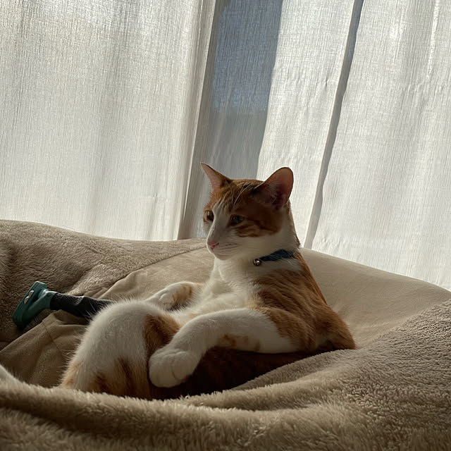 Aさんの実例写真