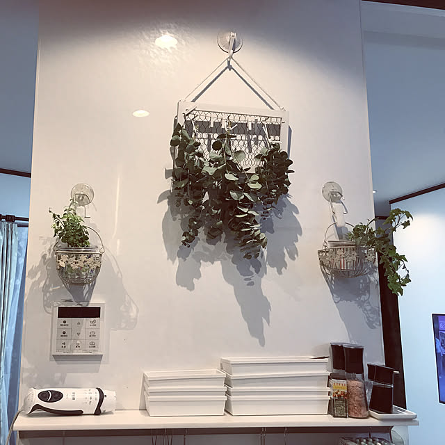 キッチン/雑貨/ハンドメイド/観葉植物/ドライフラワーのインテリア実例 - 2017-09-18 18:39:54