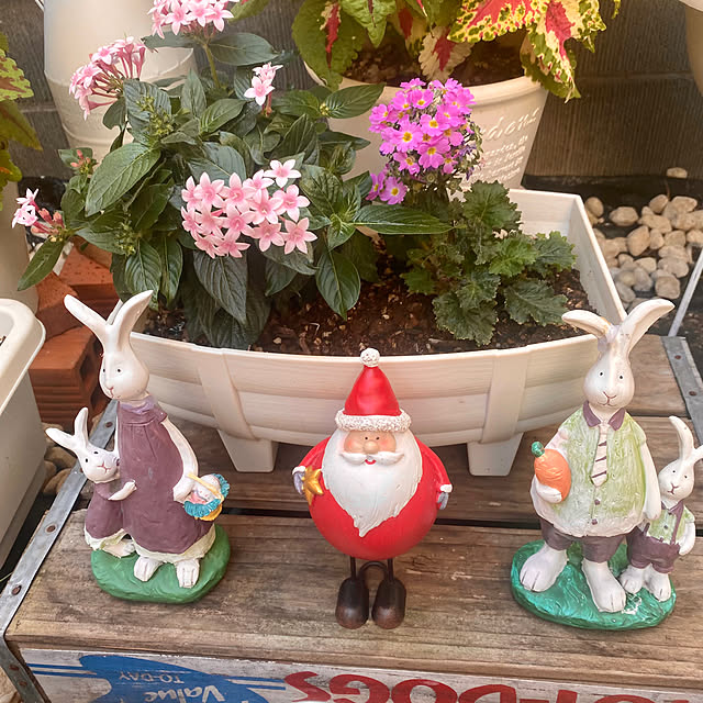 YuuKoさんの実例写真