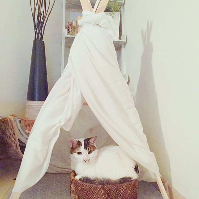 mariさんの実例写真