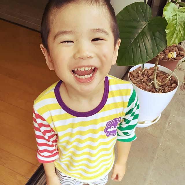 ayuさんの実例写真