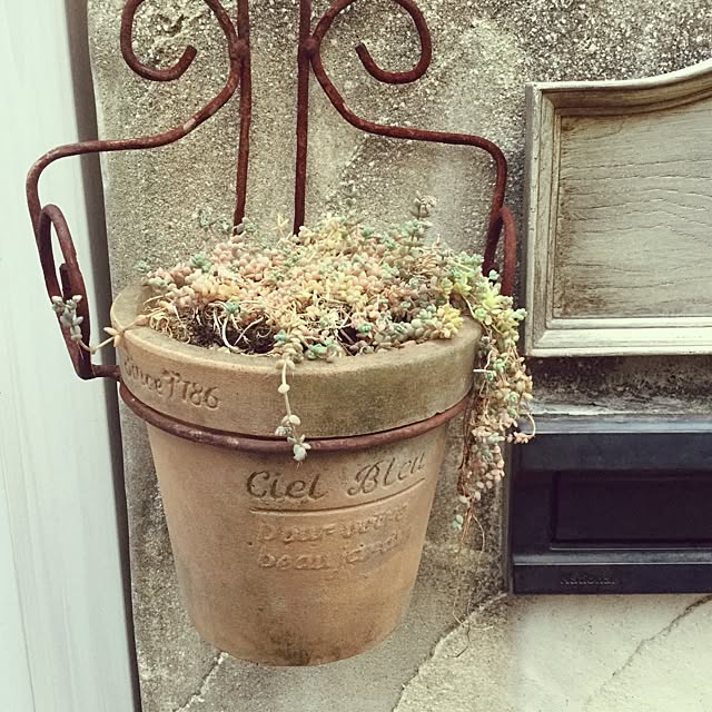 kotamaruさんの実例写真