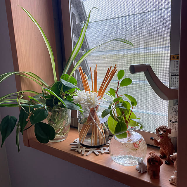 nanachanmamaさんの実例写真