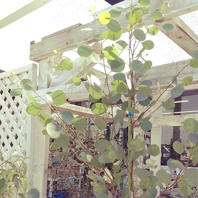 studio-fleurさんの実例写真